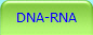 DNA-RNA