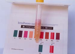 analysis heavy metal testing